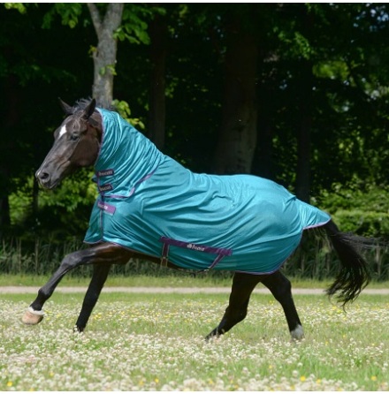 Bucas Freedom Fly Sheet Full Neck