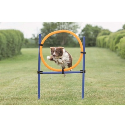 Trixie Agility Hoppring Plast 78x65x115cm