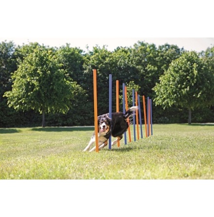 Trixie Agility 12st Slalompinnar Plast 115cm