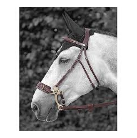  Dyon Hackamore Trns