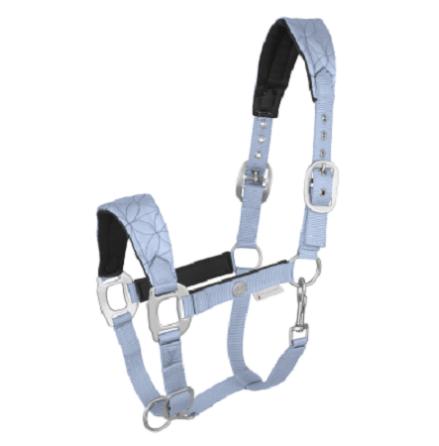 Waldhausen Grimma Rom