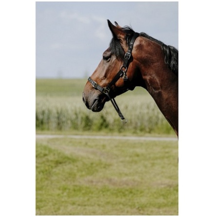 Norton Educatif Grimma Nylon Svart