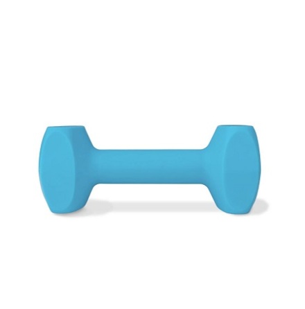 Coachi Training Dumbbell Ljusbl L