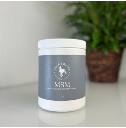 Eqvital MSM 1kg