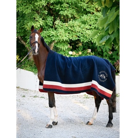 Tommy Hilfiger Equestrian Hillsdale Square Rug Multi