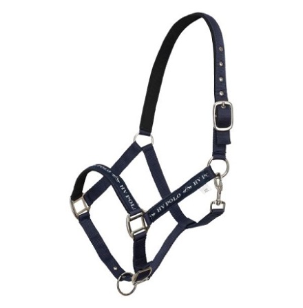 HV Polo HVPNena Grimma