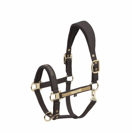 Eskadron Grimma Fusklder Heritage 25/26