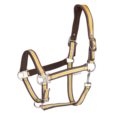 Waldhausen Grimma Esperia Two 