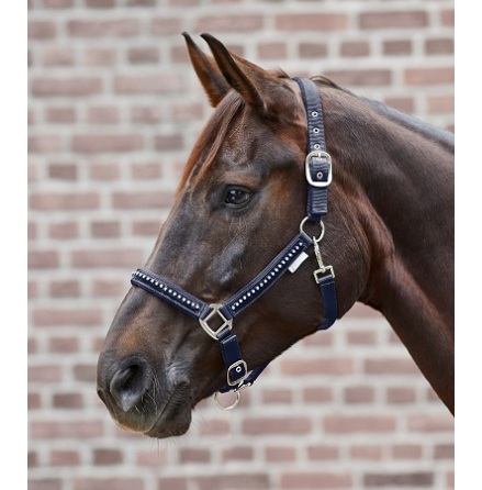 Waldhausen Grimma Crystal 