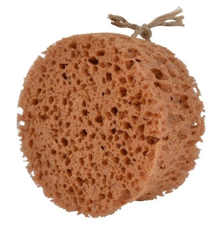 Borstiq Farm Groomingsvamp Rund