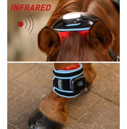 Waldhausen Health + Care Infrared Flexpad