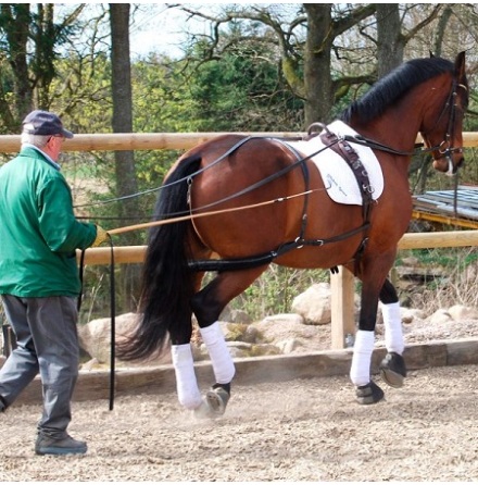 Globus Tr�ningst�m 16m Svart