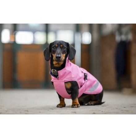 Bucas Freedom HundT�cke Aurora Pink