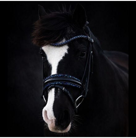 SD Design Diamond Bridle Svart/Navy Full