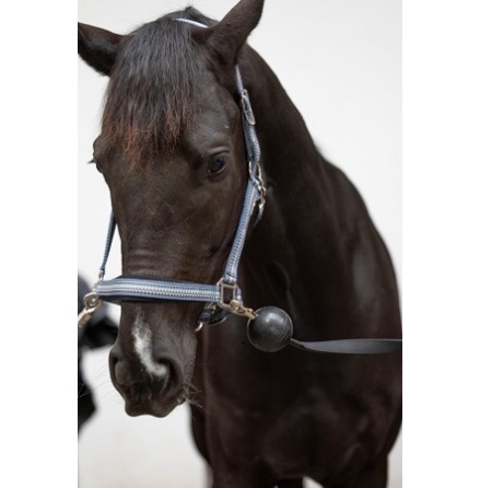 Horse Guard Wall Stall Grimskaft M Gummiboll
