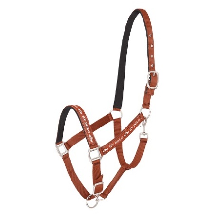 HV Polo Nena Grimma Pumpkin
