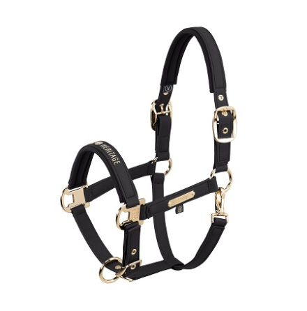 Eskadron Heritage 26 Faux Leather Double Pin Grimma