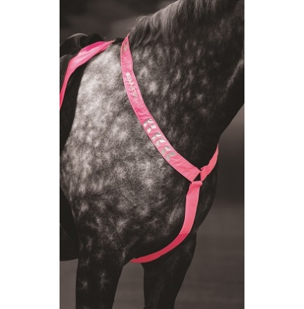 Shires Equi-Flector Reflex Brsta