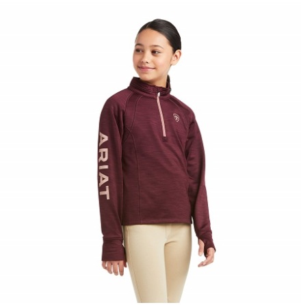 Ariat Tek Team 1/2 Zip Sweatshirt 